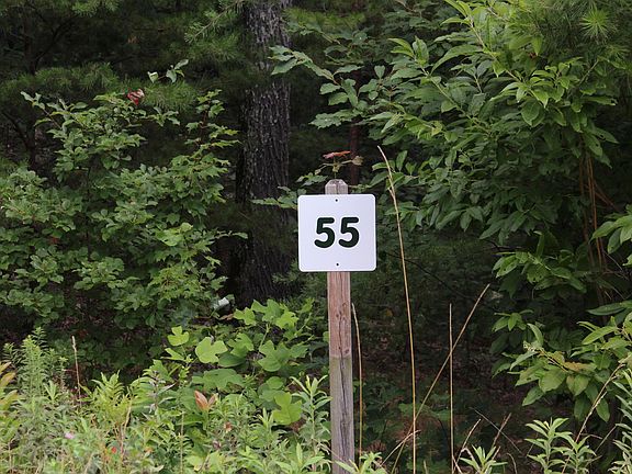 4th image of 55 Mountain Ash Way