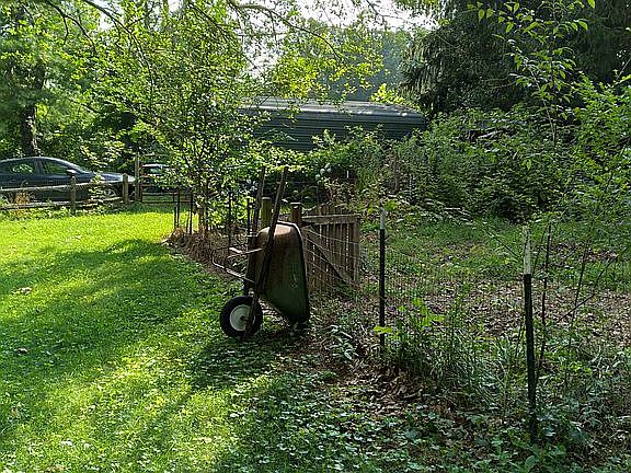 Fenced in garden 