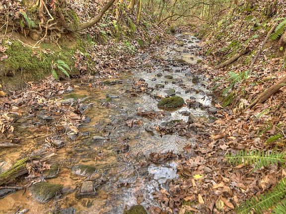 5th image of 1066 Dover Falls Trl