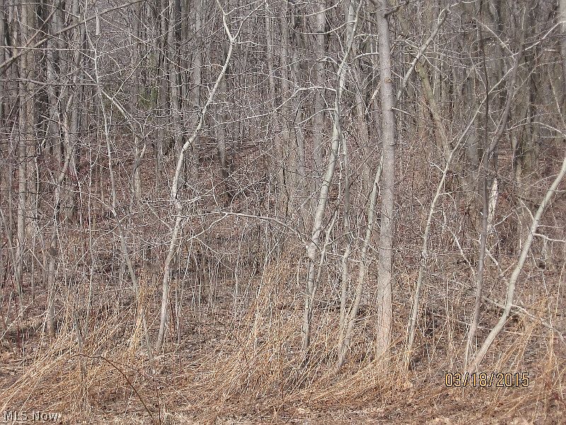 2nd image of 0 Plymouth Ridge Rd