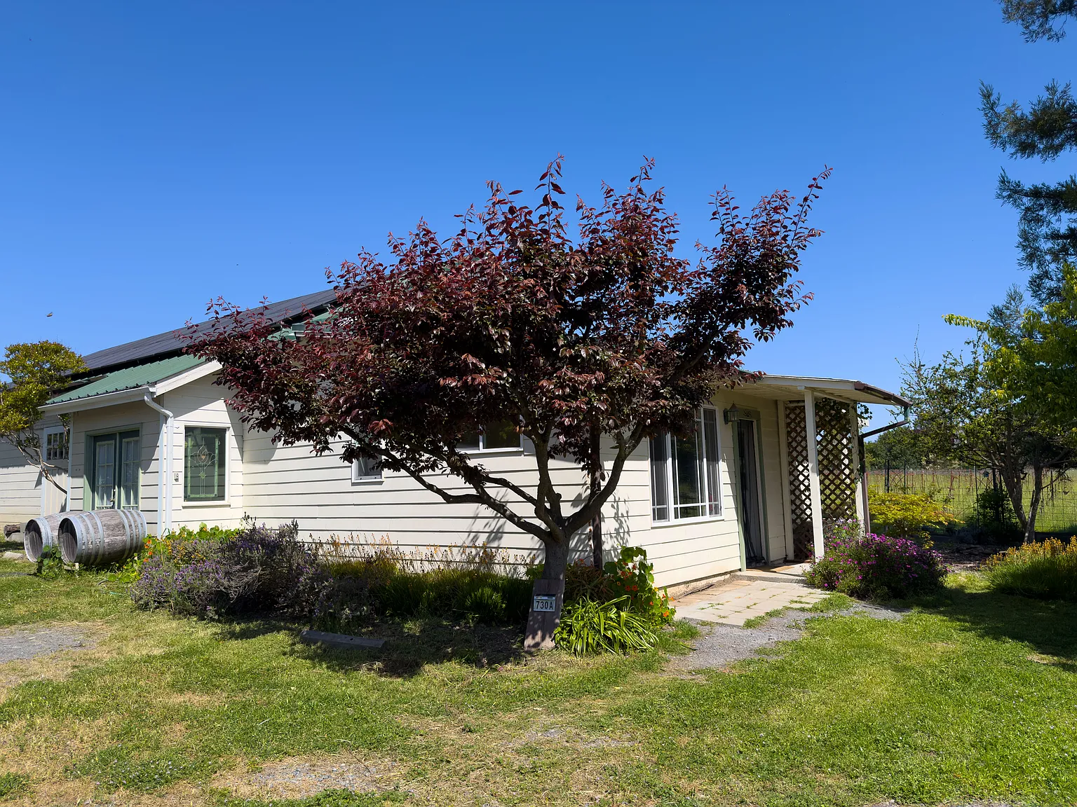 1 bed, 800 sqft, $2,000 — Photo 1