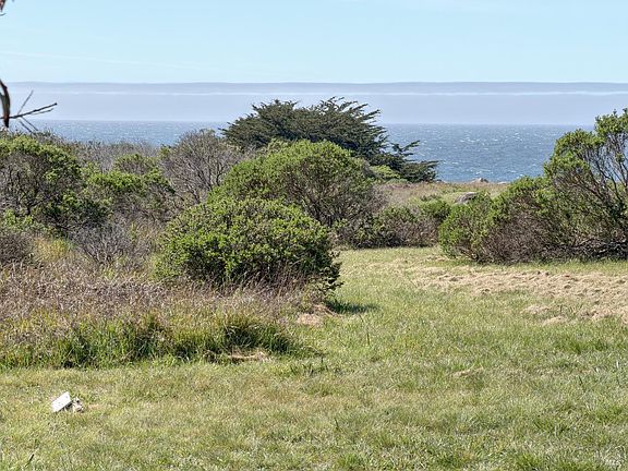 3rd image of 310 Fish Rock