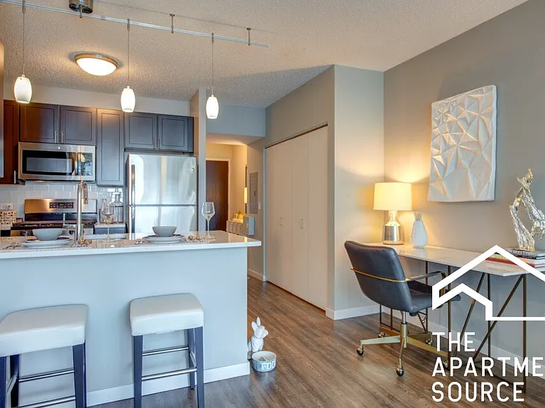 355 E Ohio Studio #STUDIO — Photo 1