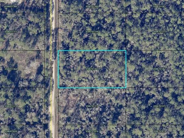 Gregory Ave, Hastings, FL 32145