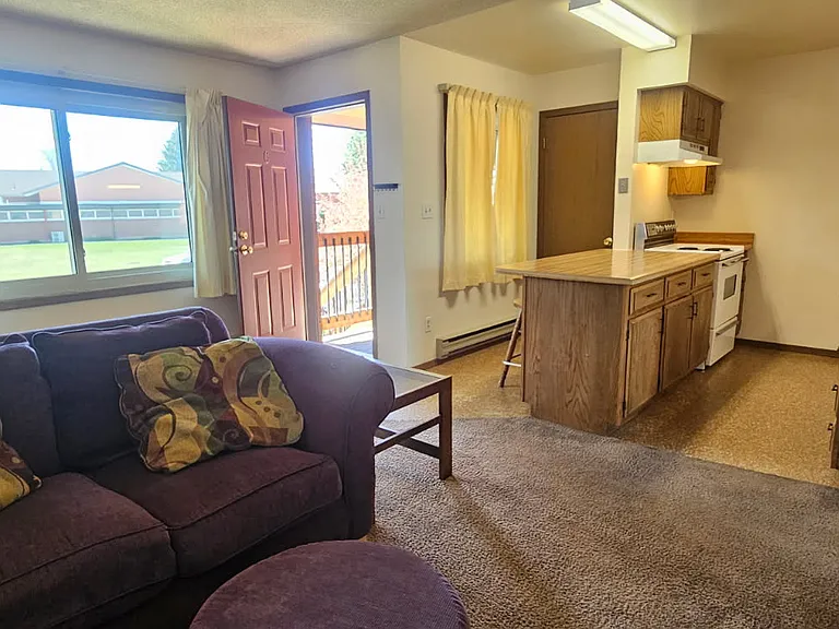 Furnished living room and kitchen