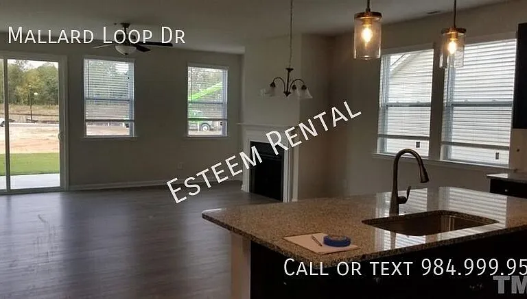 69 Mallard Loop Dr — Photo 3
