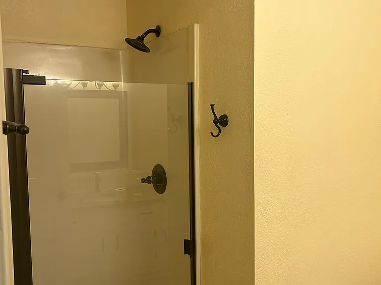 Master Bathroom Shower