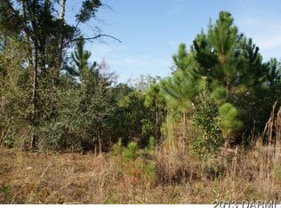 0 Place Pond Rd, De Leon Springs, FL 32130