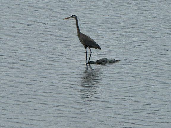3rd image of 3 Lakeside Road