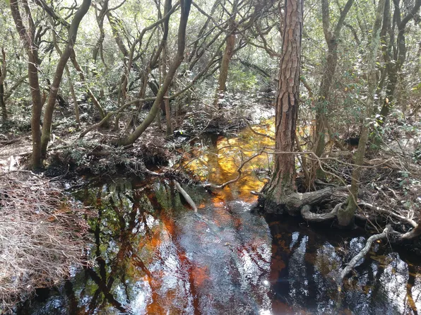 16140 Kathy Ln, Youngstown, FL 32466