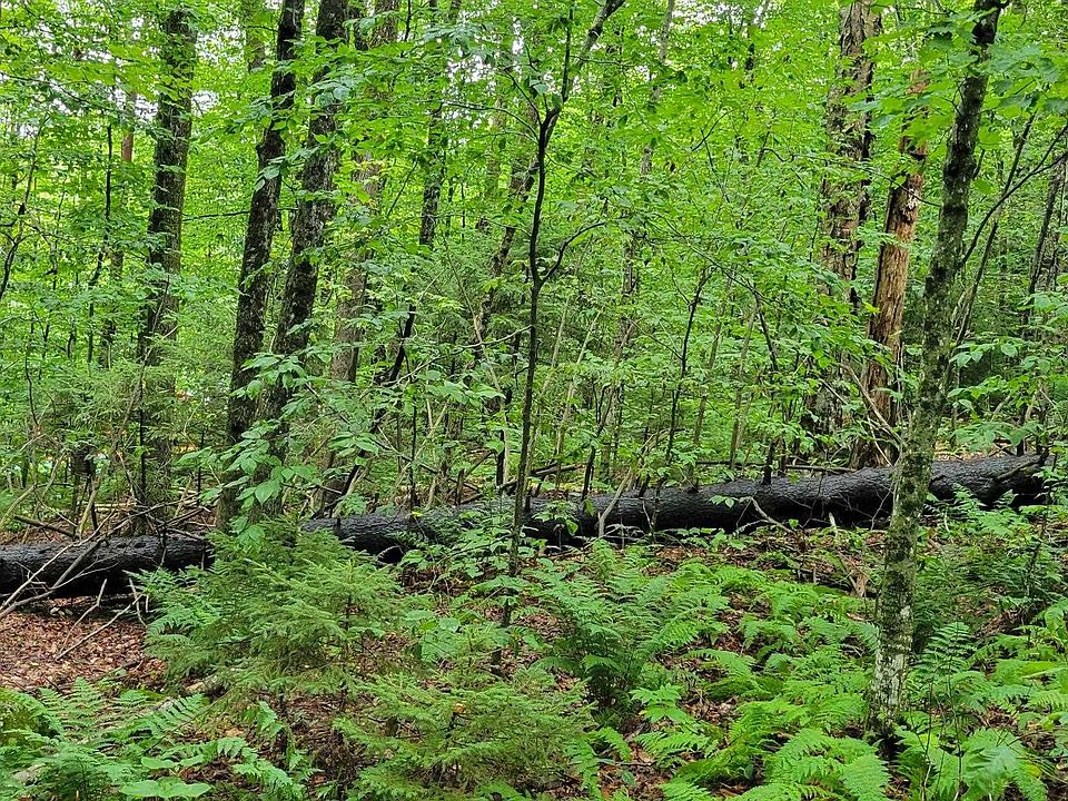 1st image of 00 Heartwellville View Road #38
