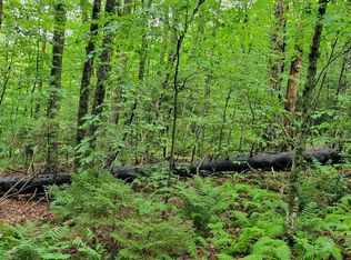 00 Heartwellville View Road #38, Readsboro, VT 05350