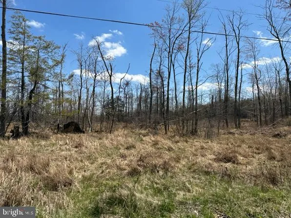 Cherry Ridge Rd Lot 3, Mount Storm, WV 26739