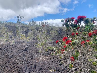 Lehua Ln, Ocean View, HI, 96737