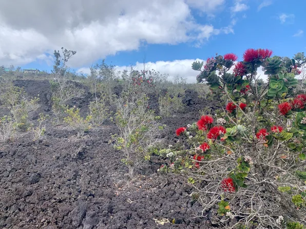 Lehua Ln Lot 22, Ocean View, HI 96737