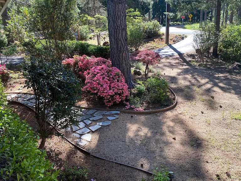 10959 Alta Sierra Dr — Photo 9