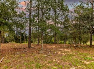 Calhoun Rd, Eustis, FL 32726