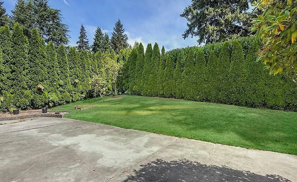 3 bed, 1.5 bath, 1470 sqft, $3,300 — Photo 4