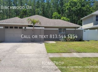 5941 Birchwood Dr, Tampa, FL 33625