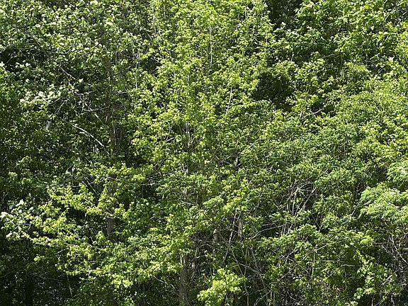 5th image of 360 Nicolet Dr Lot 13