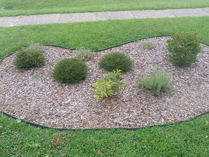 218 Eagle Way — Photo 3