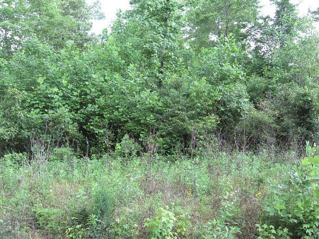 2nd image of 2315 Perkins Rd