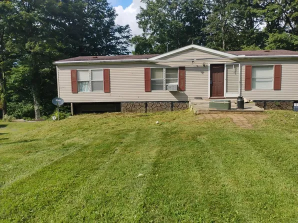 1375 Ellison Ridge Rd, Jumping Branch, WV 25969