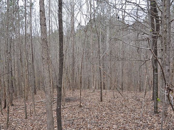 5th image of 650 Water Shed Dr