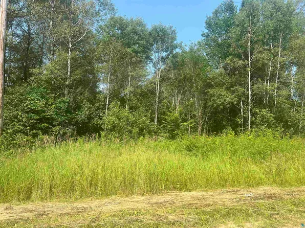 0 Faust Rd, Tomahawk, WI 54487