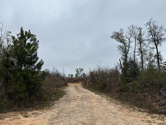 3rd image of TRACT 2 Highway 82