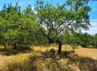 488 Red Rose St, Spring Branch, TX 78070