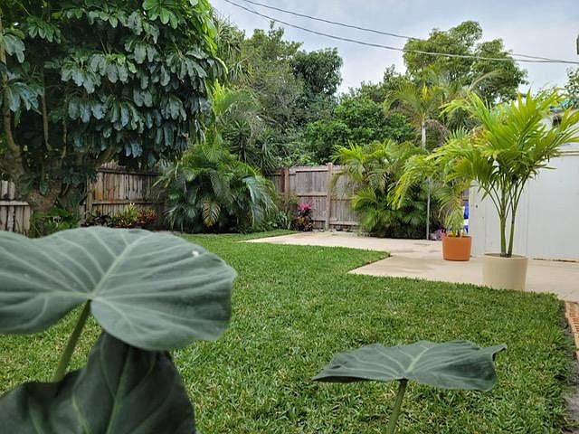 Fenced backyard