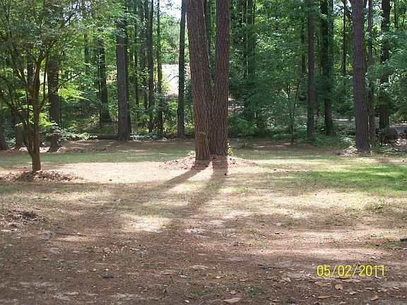 Small part of the front yard facing the road/neighbor's driv