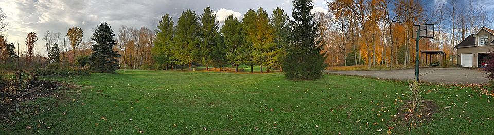 Front yard view