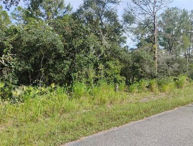 Cedar St LOT 14, Paisley, FL, 32767