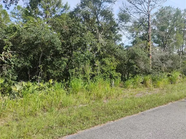 Cedar St Lot 14, Paisley, FL 32767