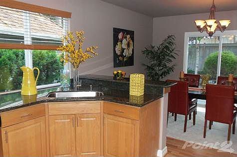 Stainless Steel Under Mount Sink
