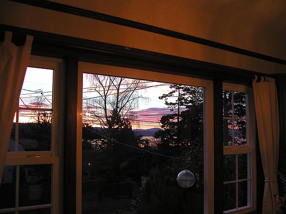 Morning scene from dining room