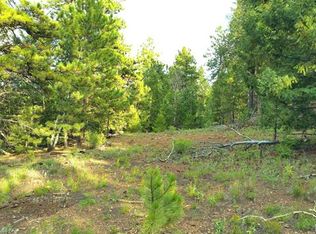 4338 Campfire Rd, Hartsel, CO 80449