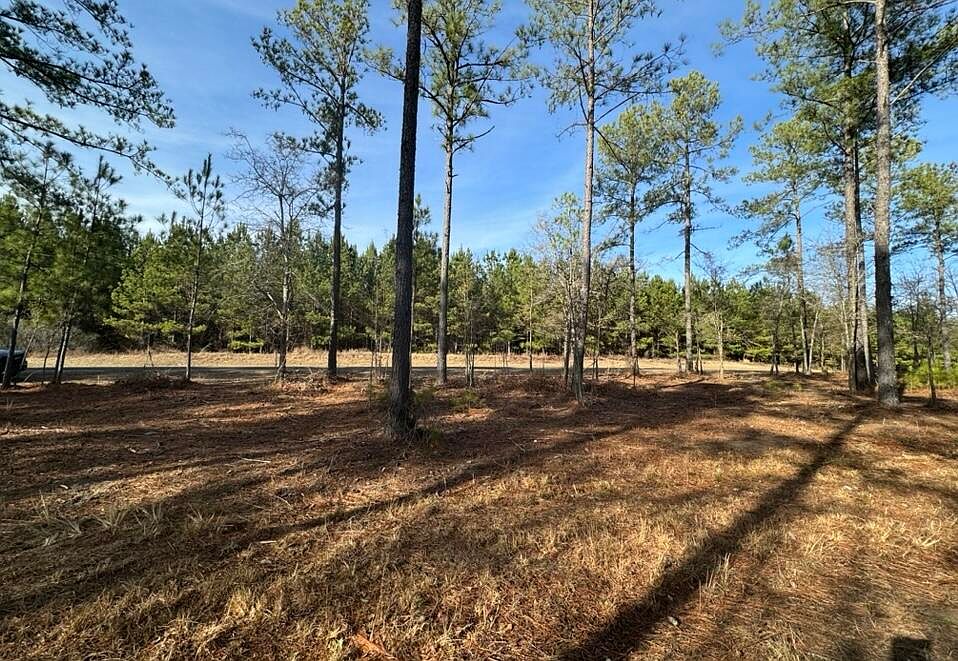 2nd image of 0 N Charleston Hwy