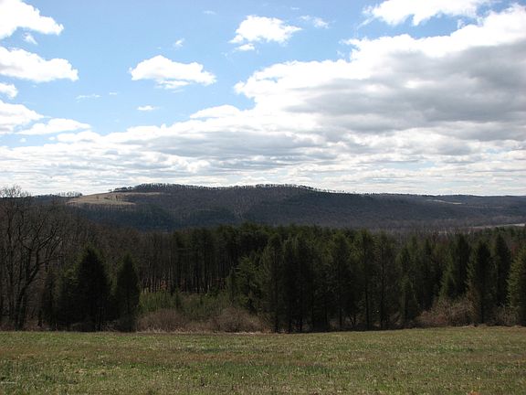 5th image of Kauffman Ln
