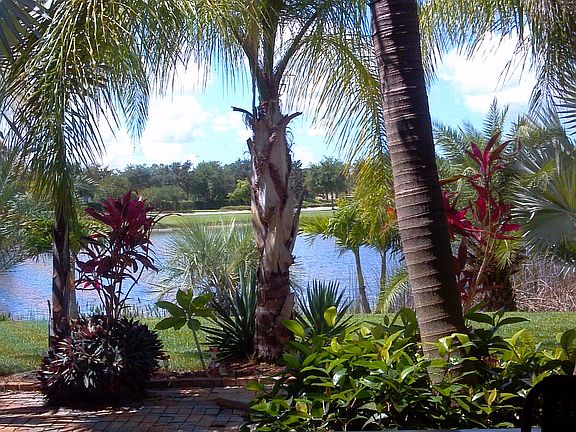 view from lanai