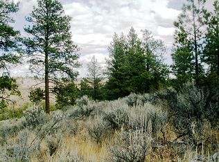 105 Sagebrush Rd, Waterville, WA 98858