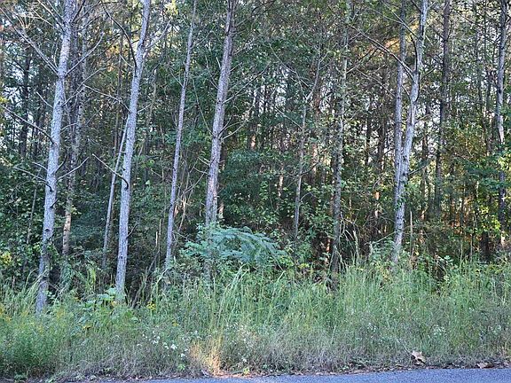3rd image of Willowbrook Ct Lot 22