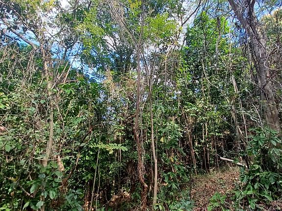 4th image of Urb Los Coles Carr 968 Km #1.5-lot 4