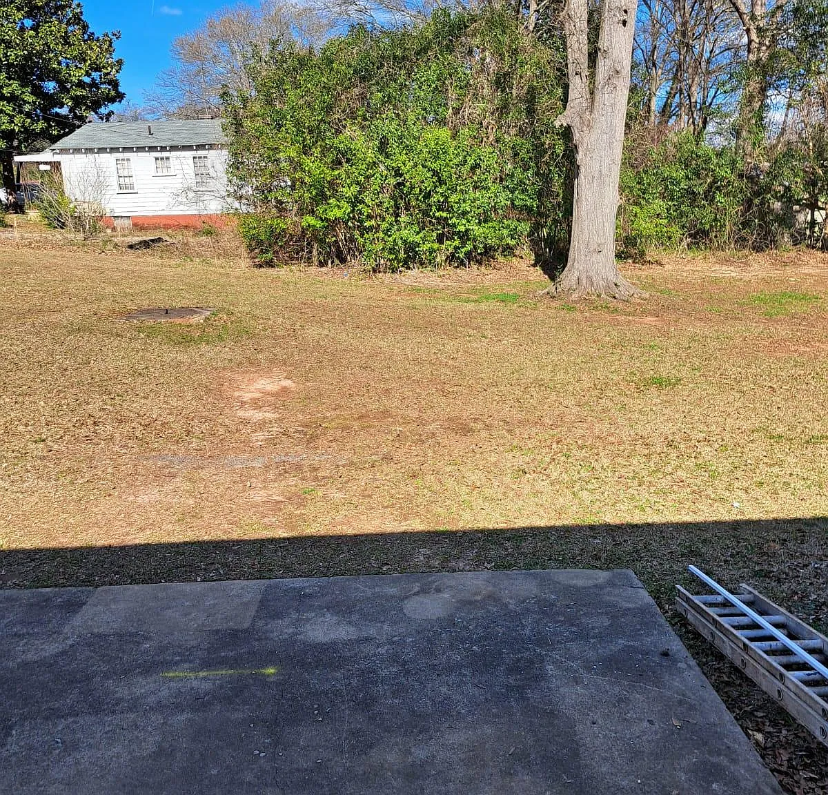 2 bed, 1.5 bath, 1000 sqft, $1,200 — Photo 2