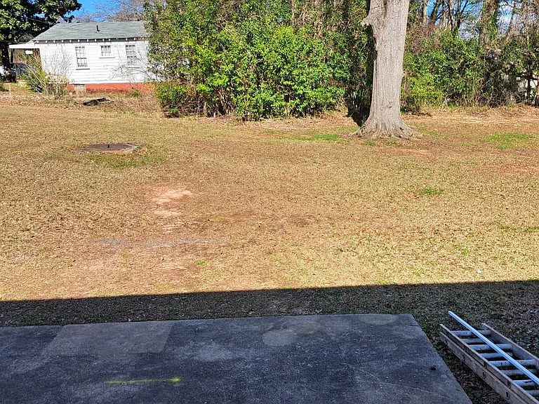 Back patio and backyard