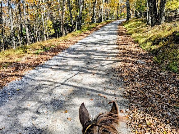 36th image of this home