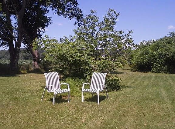 Large yard to relax in