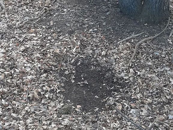 5th image of Hardys Rd